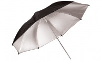 Silver/Black Umbrella
