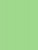 Spring Green Background Paper